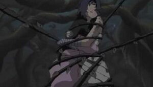 Naruto Clássico Episodio 205