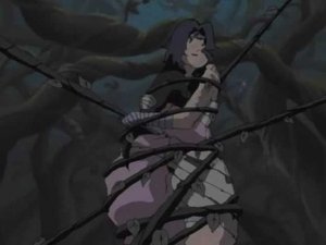 Naruto Clássico Episodio 205