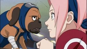 Naruto Clássico Episodio 69