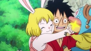 One Piece 21 Episodio 909