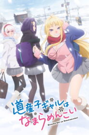Dosanko Gal wa Namara Menkoi