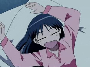 School Rumble Episodio 17