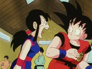 Dragon Ball Episodio 134