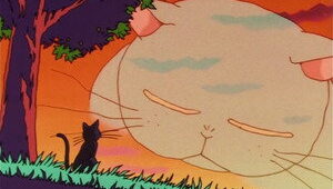 Sailor Moon Episodio 31