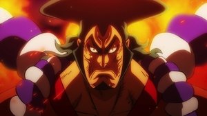 One Piece 21 Episodio 972