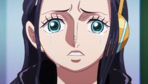 One Piece 21 Episodio 1096