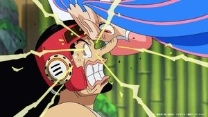 One Piece 21 Episodio 1008