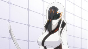 Toji no Miko Episodio 18