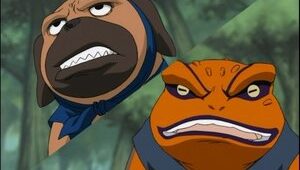 Naruto Clássico Episodio 78