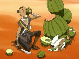 Avatar A Lenda de Aang Episodio 31