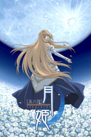 Shingetsutan Tsukihime