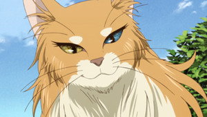 Mahoutsukai No Yome Episodio 4