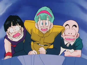 Dragon Ball Z Episodio 43