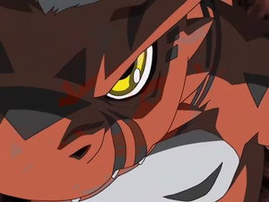 Digimon Tamers Episodio 8