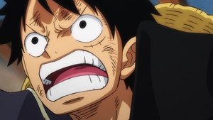 One Piece 21 Episodio 1005