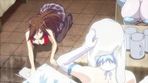 Queens Blade 2 Episodio 10